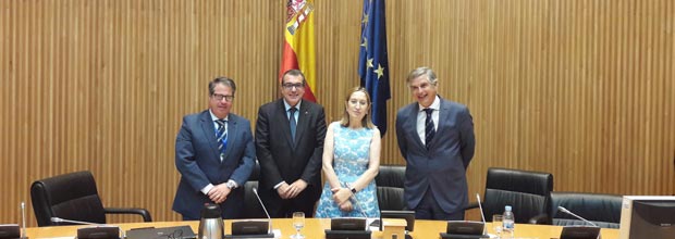 AESVI, Alianza Española por la Seguridad Vial Infantil