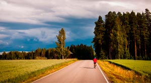 Rutas ciclistas protegidas