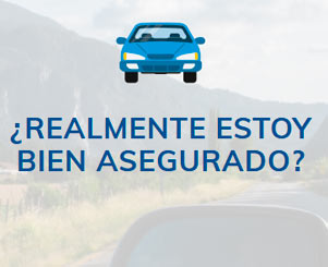 Recomendador seguro de coche Recomendador seguro de coche