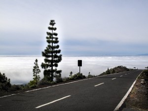 Tenerife bajo el Volcán 6