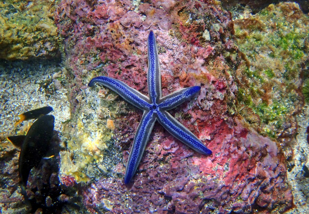 Las Islas Galápagos, un laboratorio natural 6