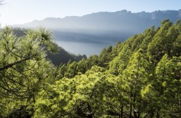 La Palma, La isla del corazón verde 2