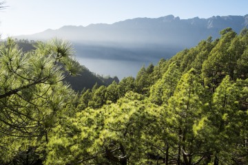 La Palma, La isla del corazón verde 2