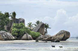Seychelles, el archipiélago de la felicidad 3