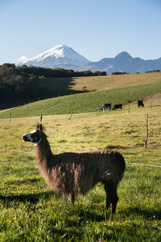 Ecuador, el secreto de los Andes 1