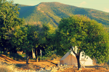 Glamping entre naranjos