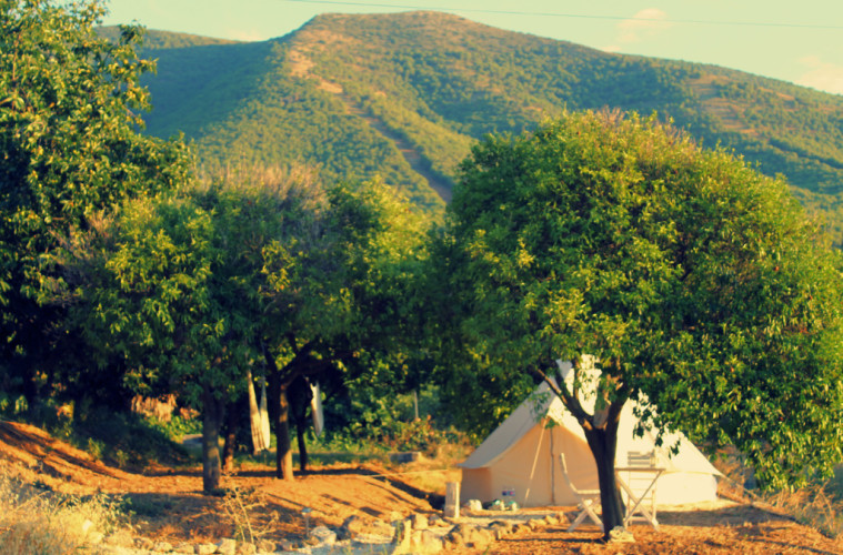 Glamping entre naranjos