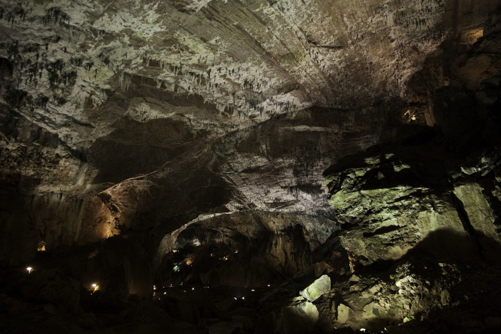 Paraísos naturales en las profundidades 1