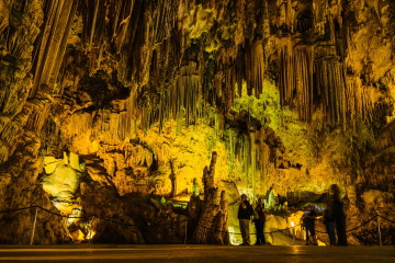 Paraísos naturales en las profundidades 4