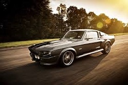 Mustang Shelby