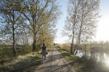 Ruta del Vino de Cigales 2