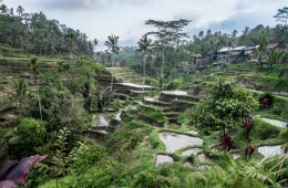 Bali, un mundo de sofisticada espiritualidad 3