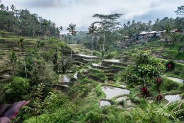 Bali, un mundo de sofisticada espiritualidad 3