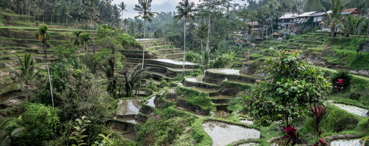 Bali, un mundo de sofisticada espiritualidad 3