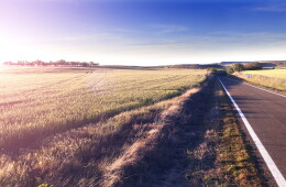 Viajar por carretera, más seguro con RACE SOS