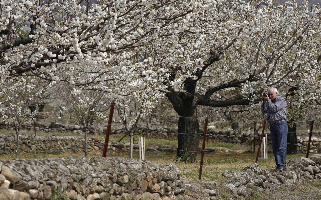 Parques Naturales, refugio en primavera 5