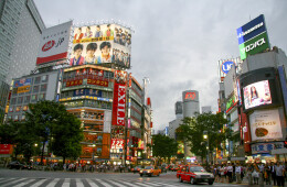 Tokio, una colmena de neón y sushi