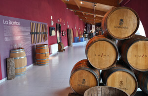 Ruta del Duero, castillos, monasterios, museos, bodegas…