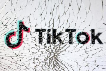 Los gobiernos y TikTok