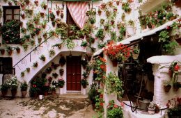 Los patios universales florecen en Córdoba