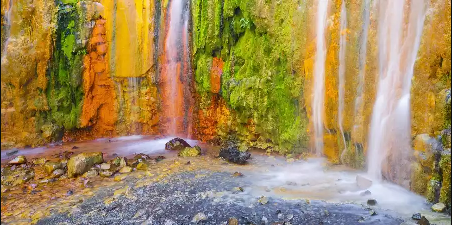 El encanto del agua en la naturaleza 1