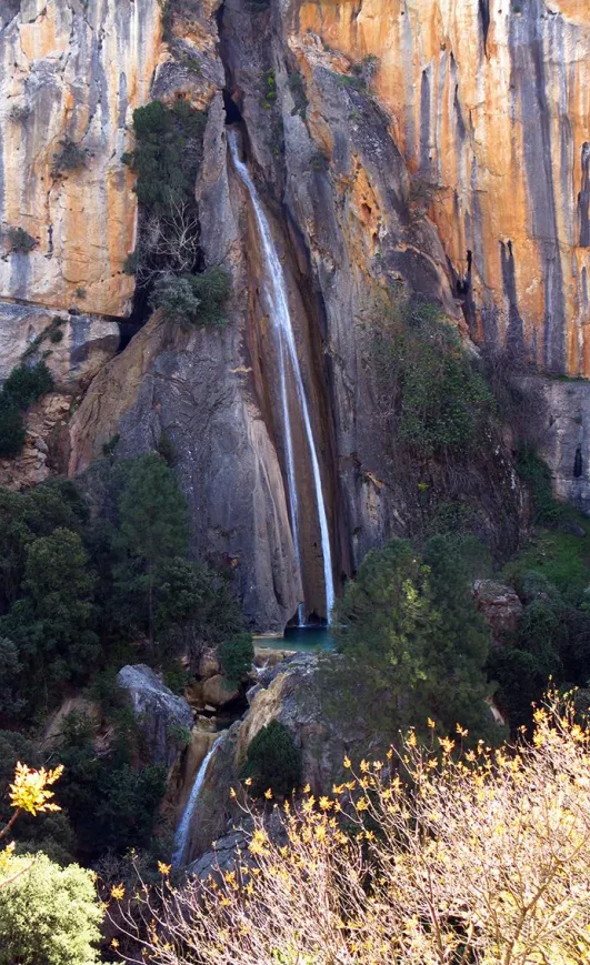 El encanto del agua en la naturaleza 4