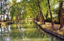Descubrir el Canal de Castilla