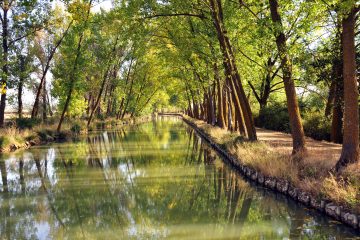 Descubrir el Canal de Castilla