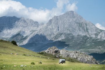 Babia, el secreto de la montaña leonesa