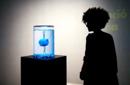 La educación ya no se entiende sin IA 3