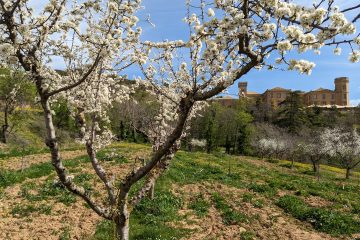 Navarra para paladares exquisitos