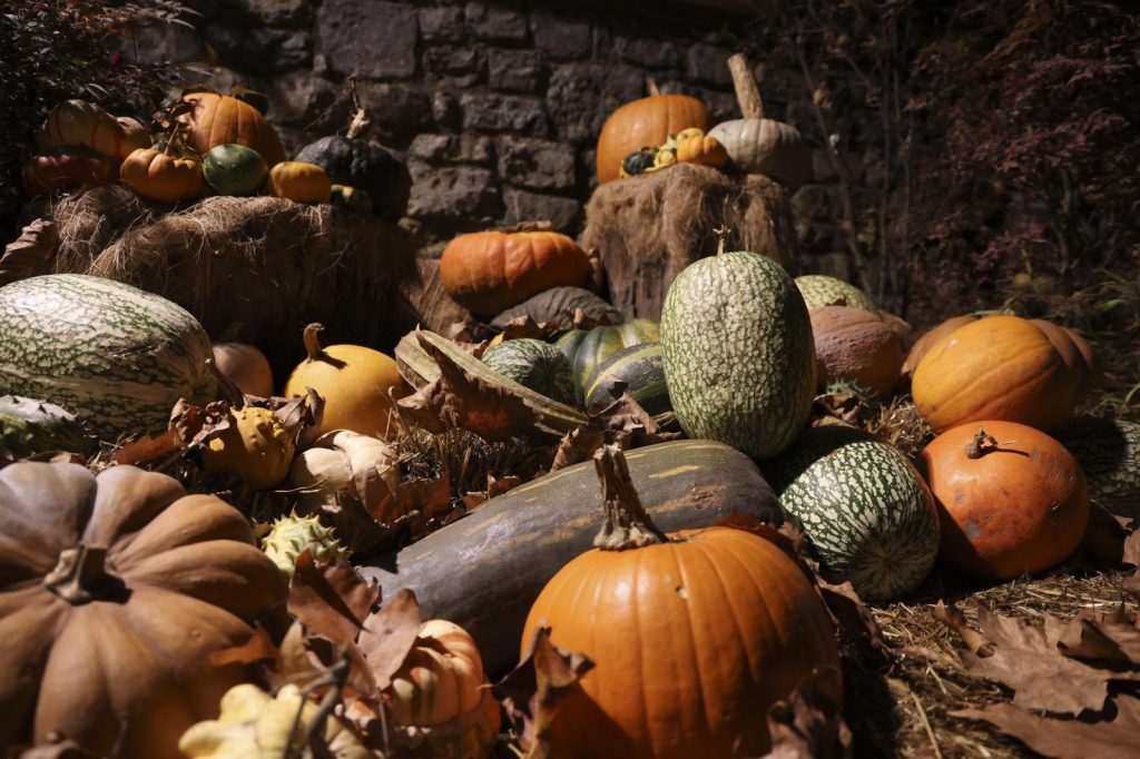 La trilogía del otoño en la mesa 1