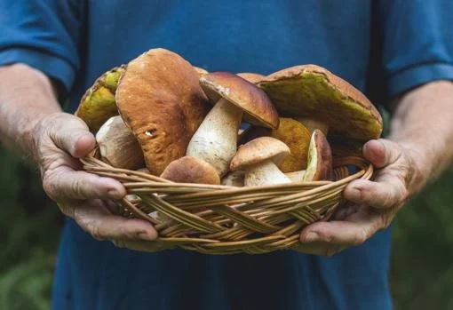 La trilogía del otoño en la mesa 3