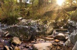 Rutas misteriosas para descubrir España en otoño