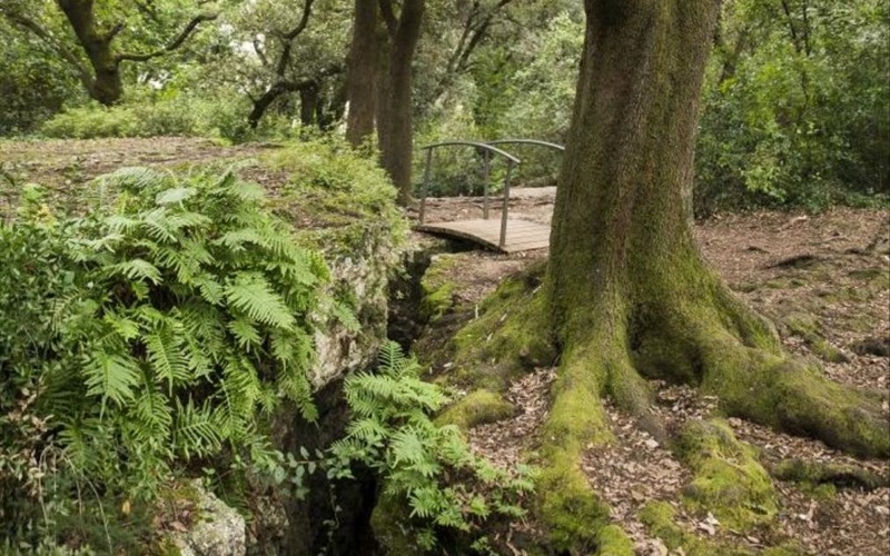 Rutas misteriosas para descubrir España en otoño 6