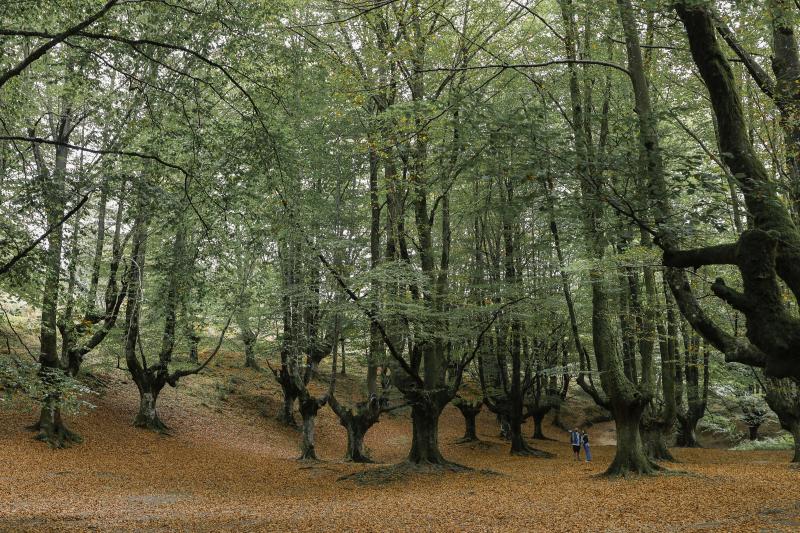 Rutas misteriosas para descubrir España en otoño 8