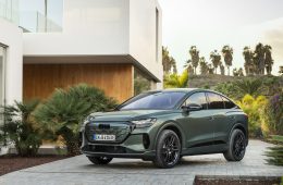 SUV: el fenómeno que sigue dominando el mercado del automóvil 6