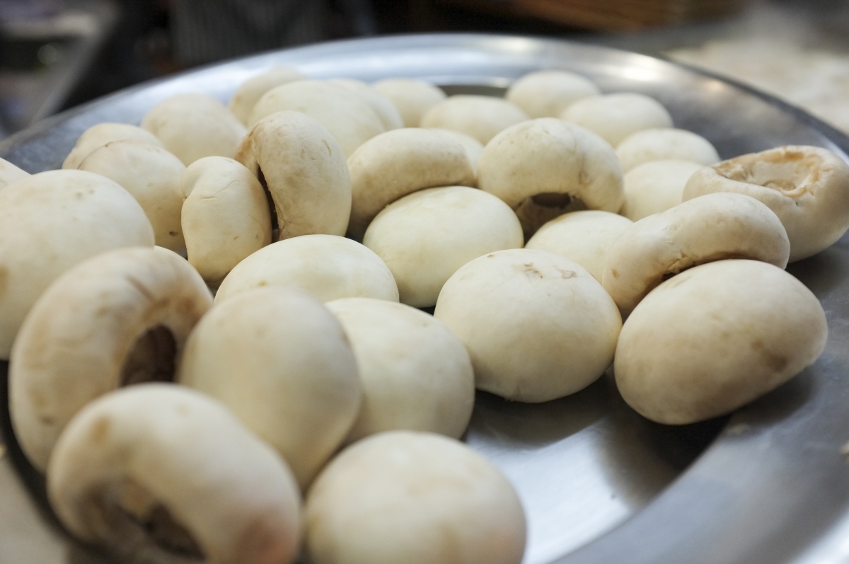 calle laurel cah,piñoes de bar Angel