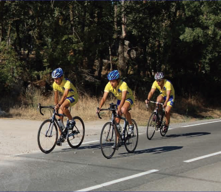 El transporte de la bicicleta