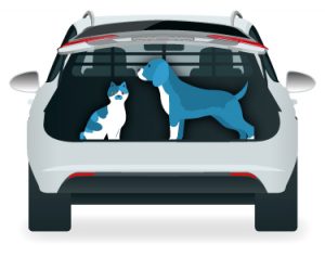 Viajar en coche con mascotas