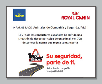 Animales de compañía y seguridad vial