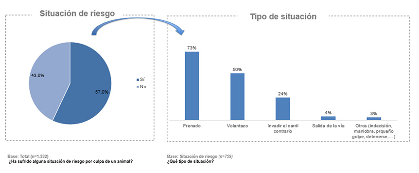 situación riesgo carretera por animal