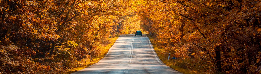 Carretera otoñal