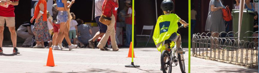 Movilidad y seguridad vial