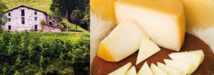 Goierri, recorrido con sabor a Idiazabal