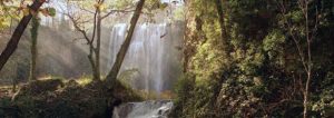 El Monasterio de Piedra